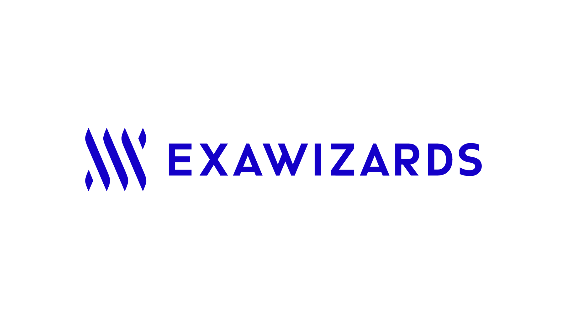 ExaWizards